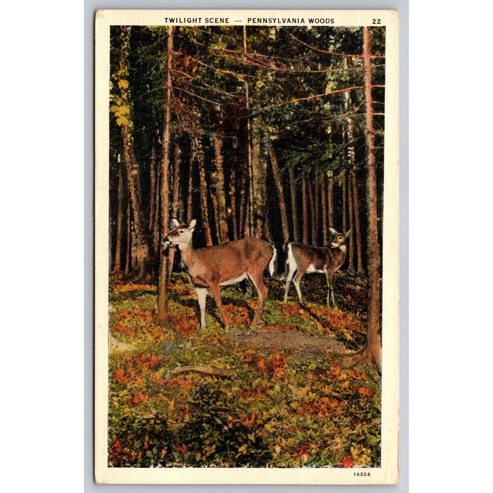Vintage 1941 Linen Postcard Twilight Scene Pennsylvania Woods Deer JP Walmer PA